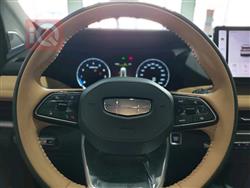 جیلی ئۆکاڤانگۆ